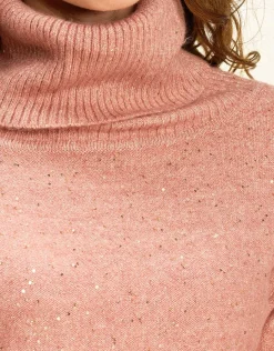 Christine Laure Pulls|Maille*Pull ample col roulé rose