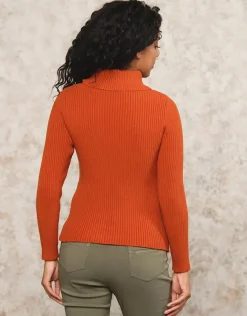 Christine Laure Pulls|Maille*Pull fantaisie col roulé